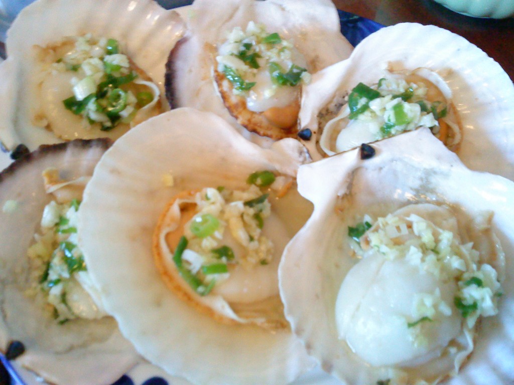 SCALLOPS!